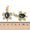 Natural & Synthetic Gemstone & Brass Pendants KK-F887-01G-4