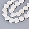 Electroplate Natural Shell Beads Strands BSHE-Q034-003D-3