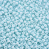 6/0 Glass Seed Beads SEED-T005-14-B19-3