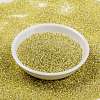 MIYUKI Round Rocailles Beads SEED-G009-RR0554-2