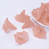 Transparent Acrylic Beads X-BSF796-C11-1