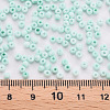 8/0 Opaque Glass Seed Beads SEED-S048-N-008-4