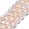 Natural Cultured Freshwater Pearl Beads Strands PEAR-N012-06G-1