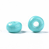 6/0 Glass Seed Beads SEED-S058-A-F437-5