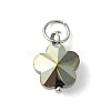 16Pcs 8 Colors Glass Charms PALLOY-JF03194-2