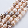 Natural Keshi Pearl Beads Strands PEAR-S020-C01-2