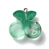 Transparent Resin Pendants RESI-D055-055P-3