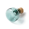 Miniature Glass Bottles GLAA-H019-04H-2