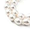 Teardrop Shell Pearl Bead Strands BSHE-L015-12x16-01-4