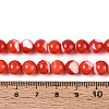 Natural Trochus Shell Mother of Pearl Shell Beads Strands X-SSHEL-T012-06-4