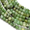 Natural Serpentine Beads Strands G-Z110-C04-4mm-4