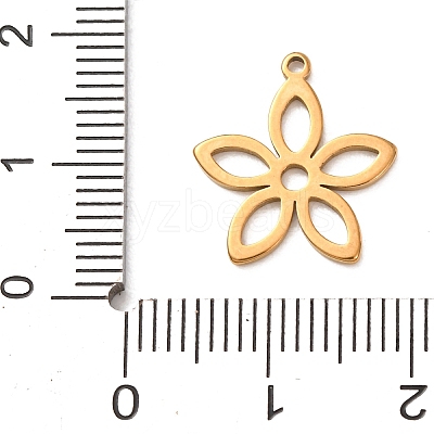 304 Stainless Steel Pendants STAS-Z204-01G-06-1