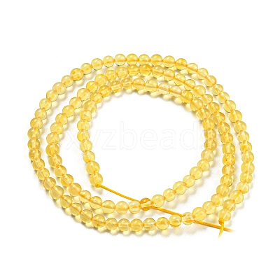 Natural Amber Beads Strands G-L584-02-01-1