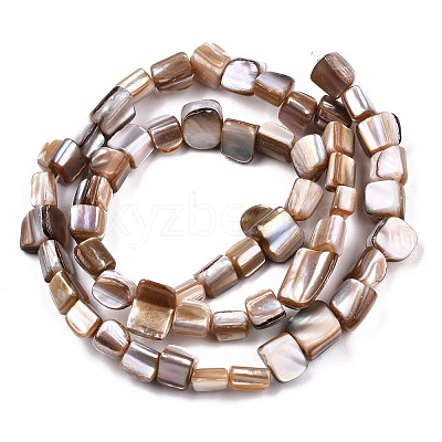 Natural Freshwater Shell Beads Strands SHEL-N026-124-1