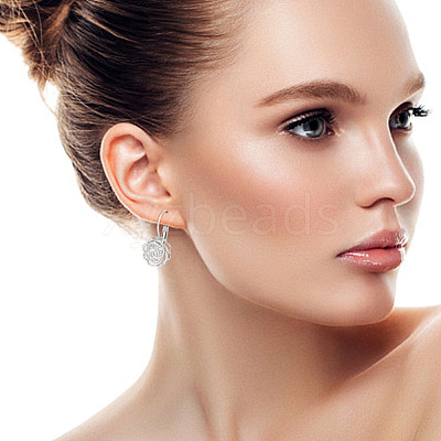 2 Pairs 2 Colors Clear Cubic Zirconia Rose Flower Leverback Earrings EJEW-AN0002-85-1