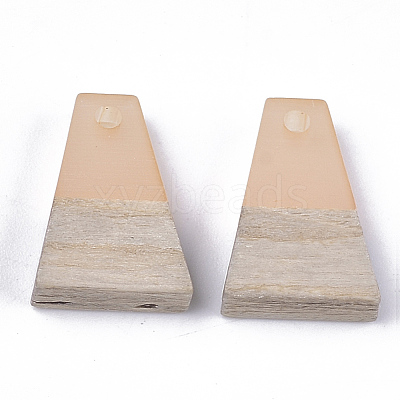 Resin & Wood Pendants RESI-S358-52E-1