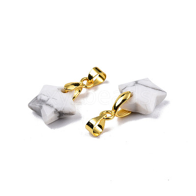 Natural Howlite Charms X-G-N326-142-10-1