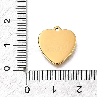 304 Stainless Steel Rhinestone Pendants STAS-R159-55G-01-1