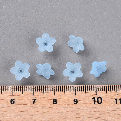 Transparent Acrylic Beads X-PL554-12-1