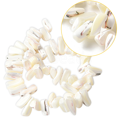 1 Strand Dyed Natural Trochus Shell Beads Strands SSHEL-PA0001-01B-1