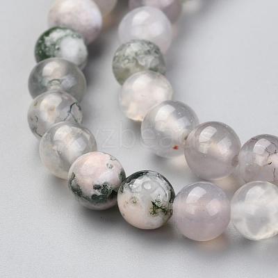Natural Tree Agate Beads Strands G-I199-03-6mm-1
