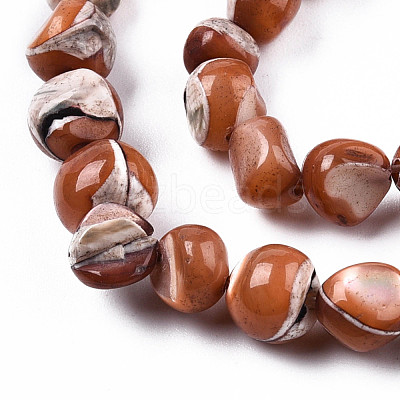 Natural Trochid Shell/Trochus Shell Beads Strands SSHEL-N032-48-A07-1