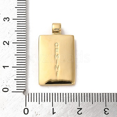 304 Stainless Steel Pendants X-STAS-L022-306G-03-1