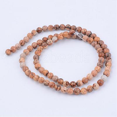 Natural Picture Jasper Beads Strands G-Q462-6mm-35-1