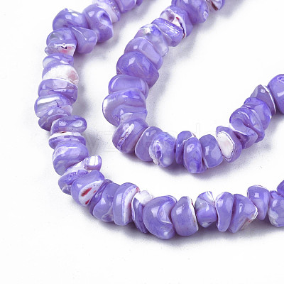 Natural Freshwater Shell Beads Strands SHEL-N003-23-B01-1