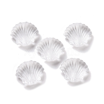 Transparent Acrylic Beads OACR-M011-18-1