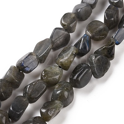 Natural Larvikite Beads Strands G-A208-08-1