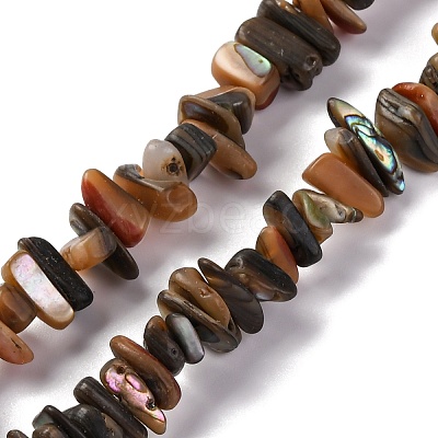 Natural Paua Shell Beads Strands BSHE-B007-05-1