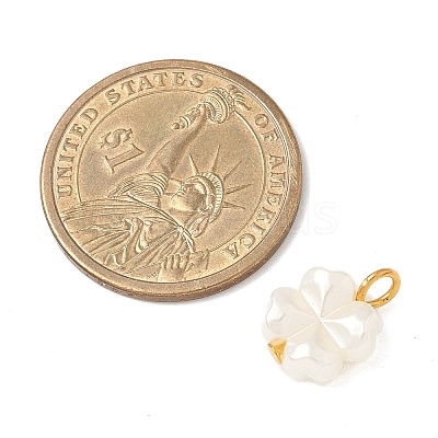 Plastic Pearl Charms PALLOY-JF04027-02-1