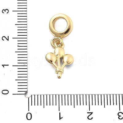 Rack Plating Brass Enamel European Dangle Charms KK-Q017-18G-1