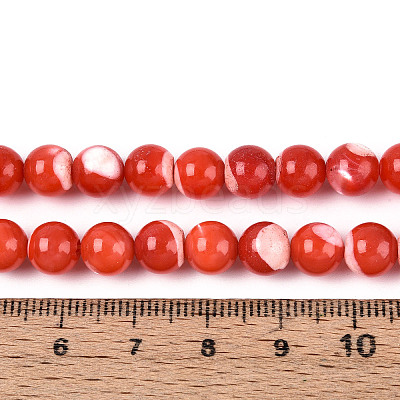 Natural Trochus Shell Mother of Pearl Shell Beads Strands X-SSHEL-T012-06-1