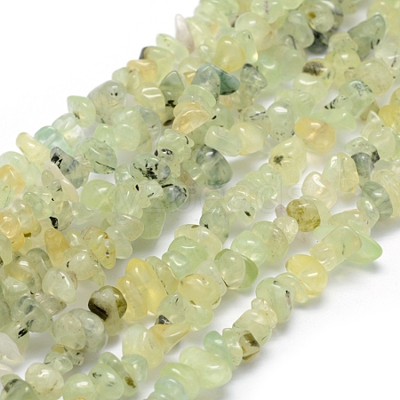 Natural Prehnite Beads Strands G-P332-41-1