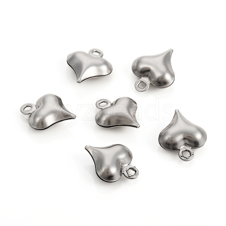 Non-Tarnish 304 Stainless Steel Charms STAS-I149-05A-P-1