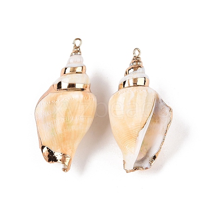 Natural Conch Shell Big Pendants SSHEL-N038-27-1