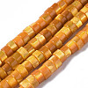 Natural Trochus Shell Beads Strands SHEL-S278-027F-1