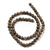 Natural Golden Leaf Jasper Beads Strands G-R494-A20-02-2