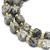 Natural Syenite Beads Strand G-I376-D17-01-3