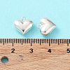 925 Sterling Silver Charms STER-H106-01B-S-4