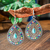 Bohemian Style Alloy Acrylic Dangle Earrings WGAEF55-06-1