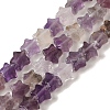 Natural Amethyst Beads Strands G-G085-B01-02-1