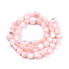 Natural Trochid Shell/Trochus Shell Beads Strands SSHEL-N032-49-A05-2