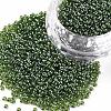 12/0 Grade A Round Glass Seed Beads X-SEED-Q011-F525-1