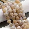 Natural Weathered Agate Beads Strands G-P538-A01-03-2
