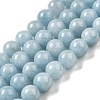 Dyed Natural Malaysia Jade Beads Strands G-G021-02C-20-1