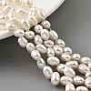 Natural Cultured Freshwater Pearl Beads Strands PEAR-A006-22-2