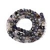 Natural Iolite Beads Strands G-N342-112B-2